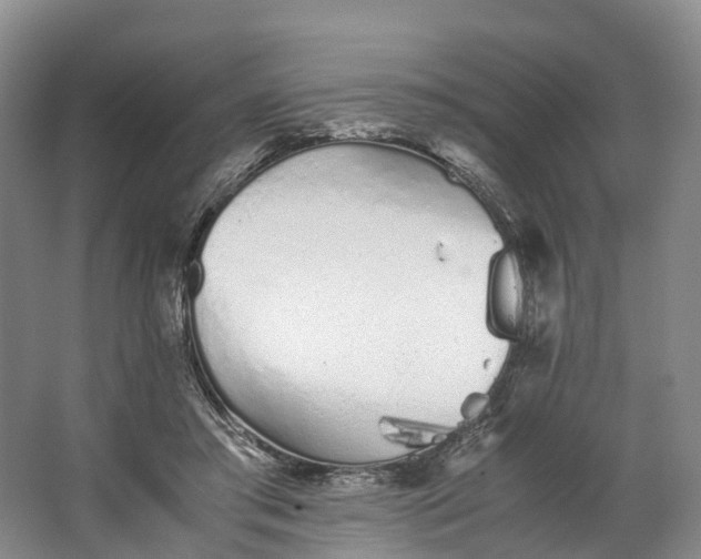 X0000062800405200601051117