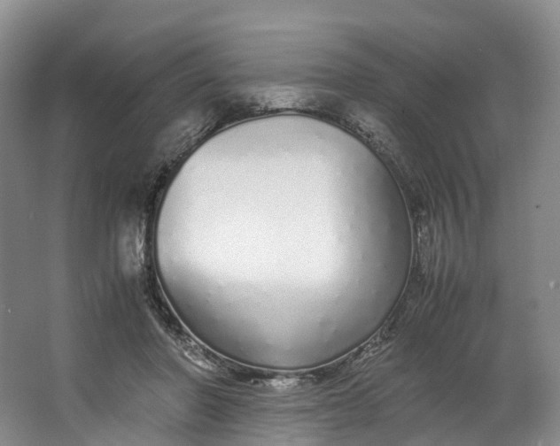 X0000062800406200601051117