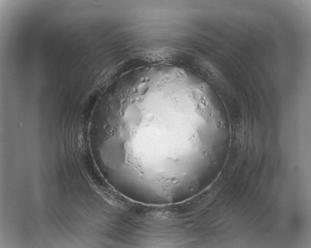 X0000062800408200601051117