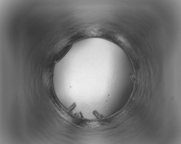 X0000062800409200601051117