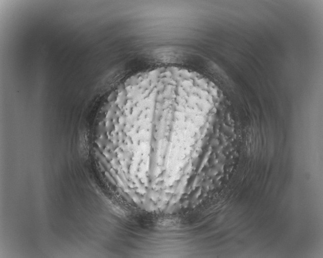 X0000062800410200601051117