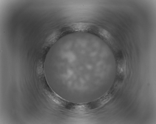 X0000062800411200601051117