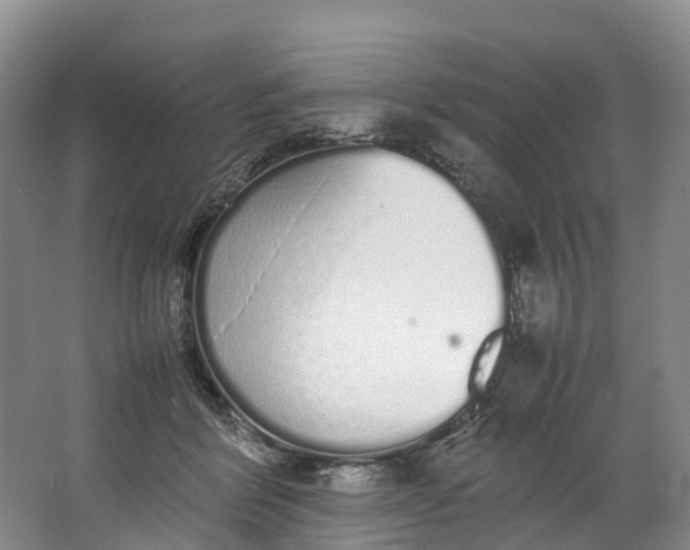 X0000062800412200601051117