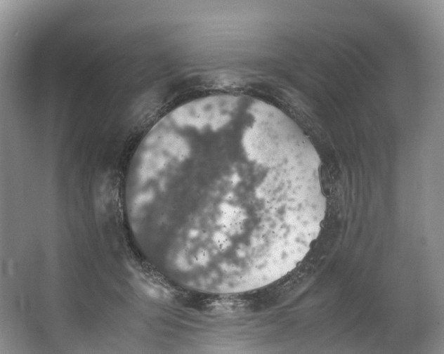 X0000062800415200601051117