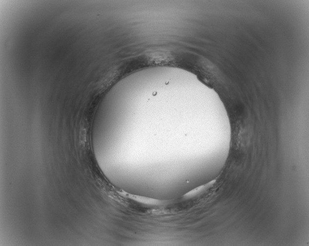 X0000062800417200601051117