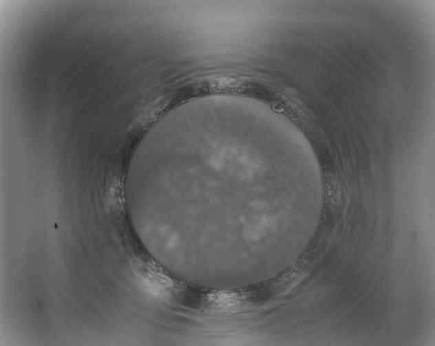 X0000062800419200601051117