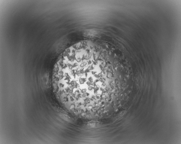 X0000062800420200601051117