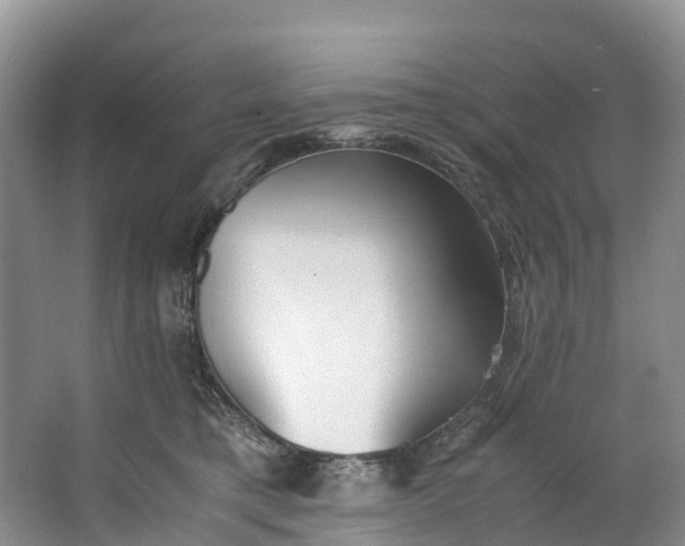 X0000062800421200601051117