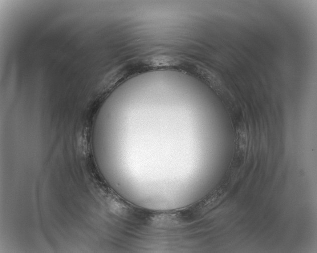 X0000062800422200601051117