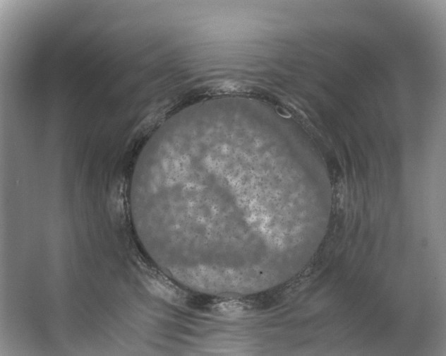 X0000062800423200601051117