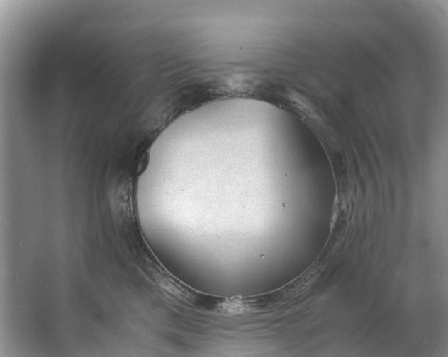 X0000062800425200601051117