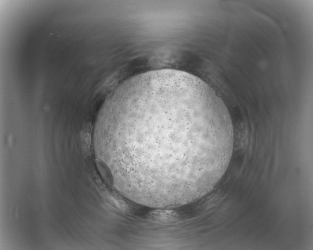 X0000062800427200601051116