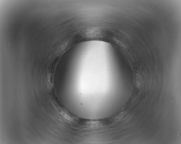 X0000062800428200601051116