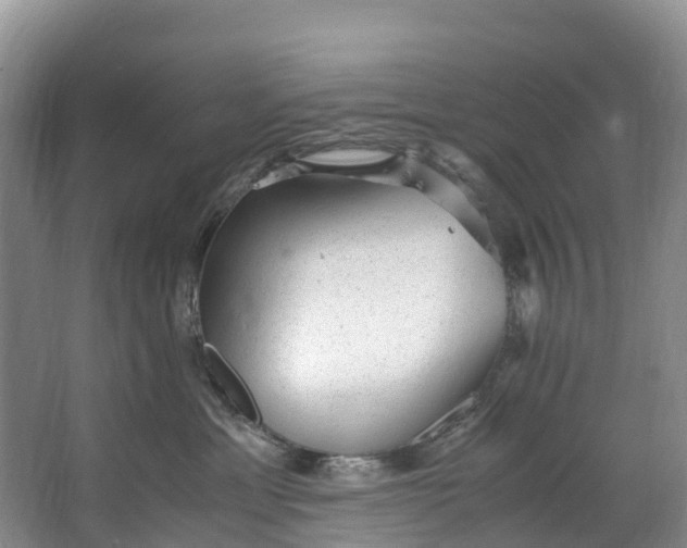 X0000062800429200601051116