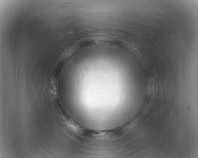 X0000062800430200601051116