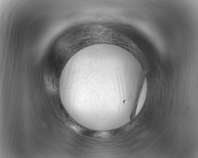 X0000062800431200601051116