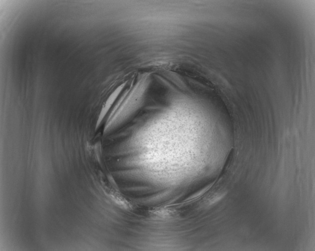 X0000062800432200601051116