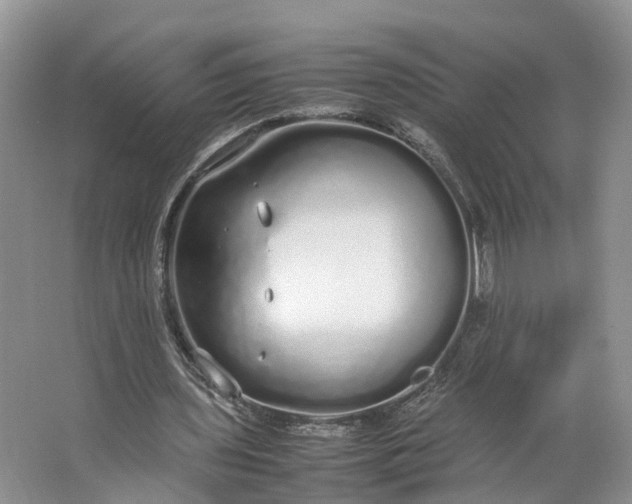 X0000062800435200601051116