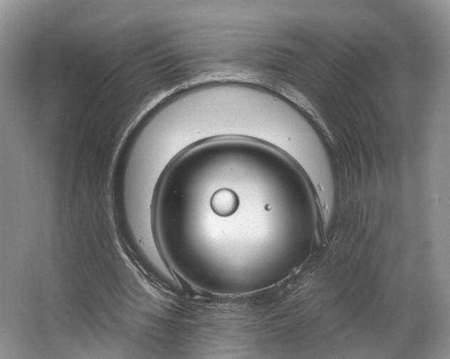 X0000062800436200601051116