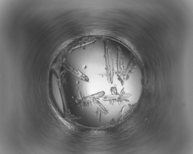 X0000062800437200601051116