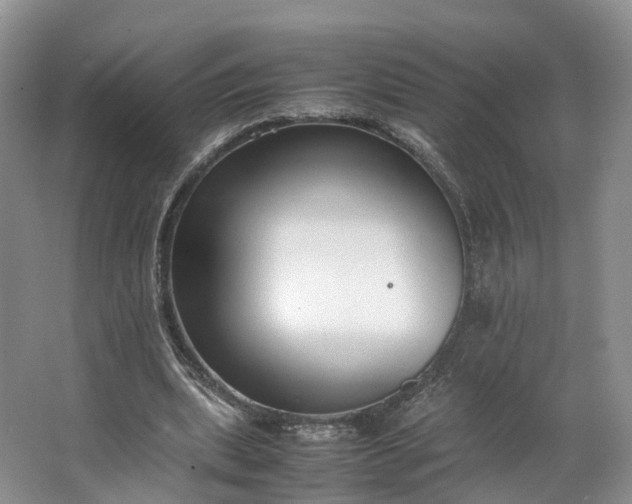 X0000062800439200601051116