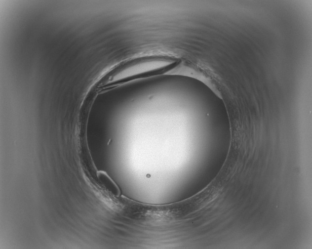 X0000062800440200601051116