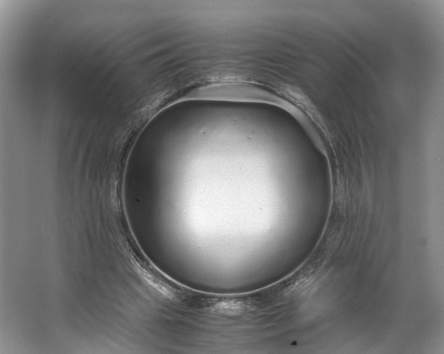 X0000062800441200601051116