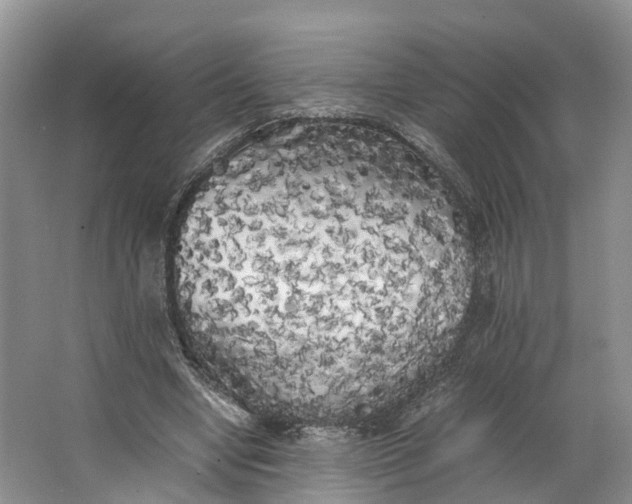 X0000062800442200601051116