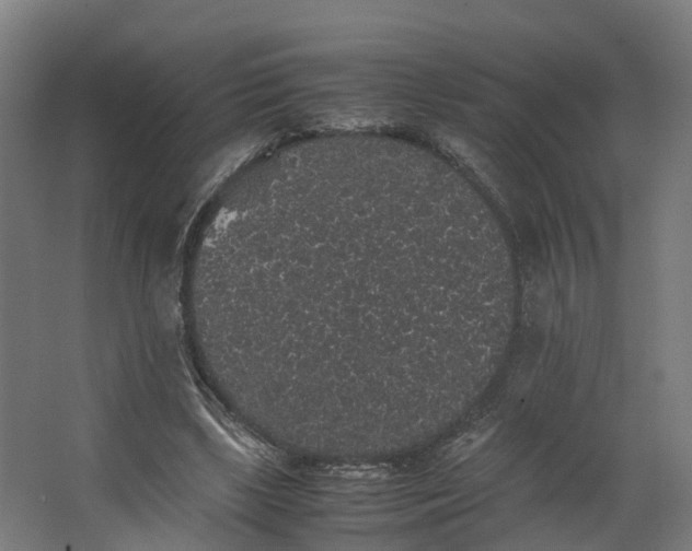 X0000062800443200601051116