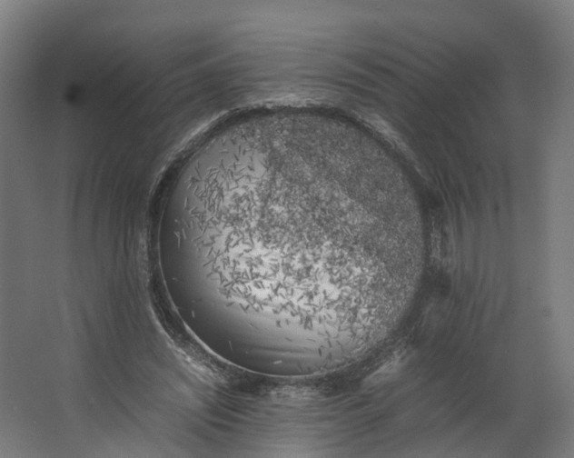 X0000062800444200601051116