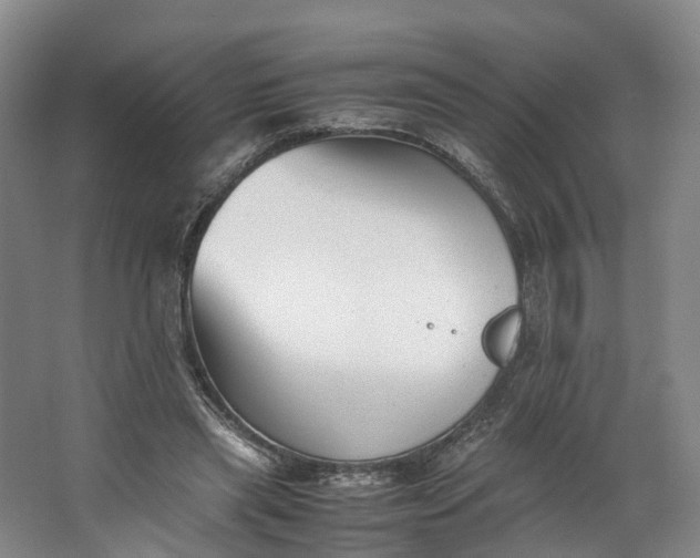 X0000062800445200601051116