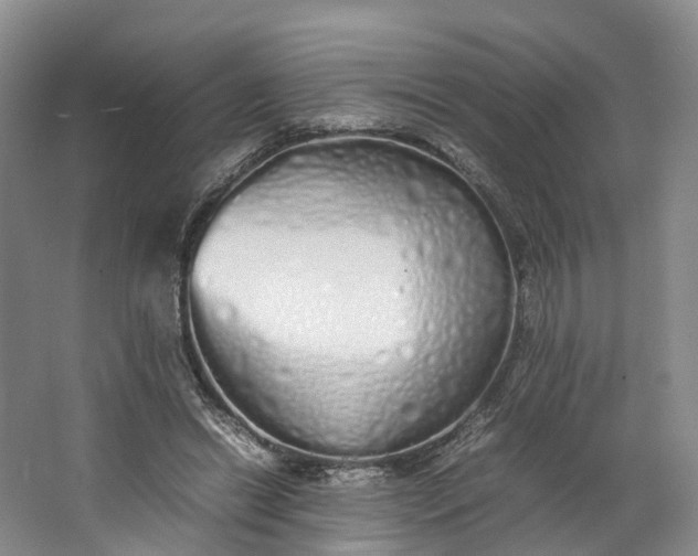 X0000062800446200601051116