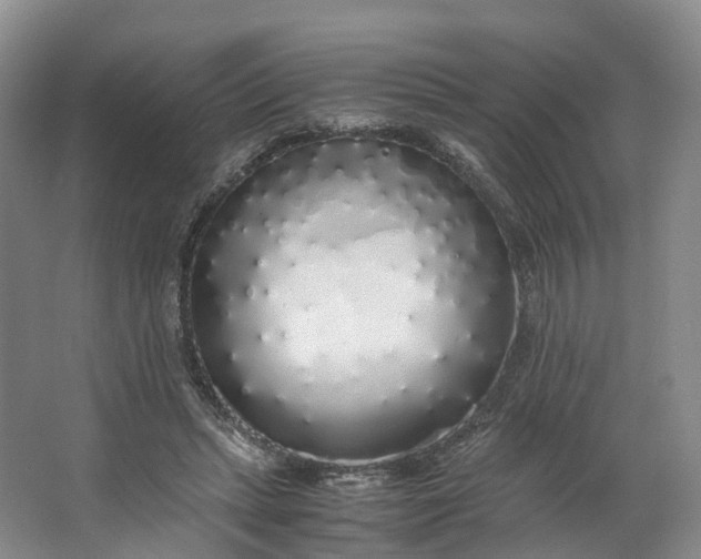 X0000062800447200601051116