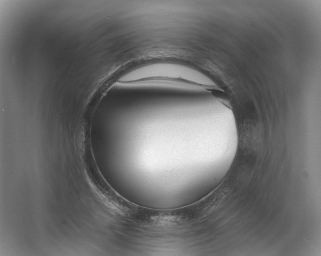 X0000062800448200601051116