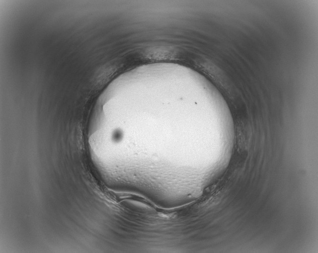 X0000062800453200601051116