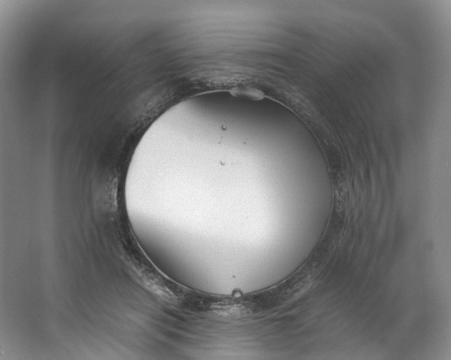 X0000062800454200601051116