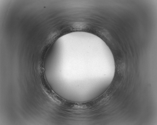 X0000062800455200601051116