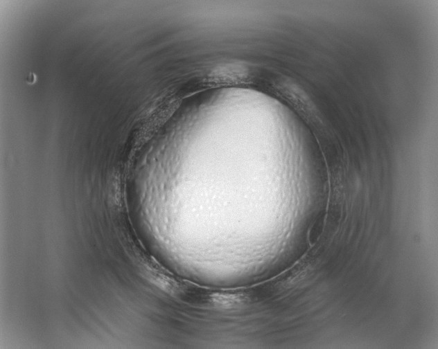 X0000062800457200601051116