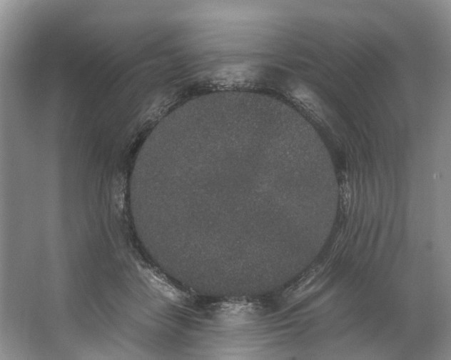 X0000062800458200601051116