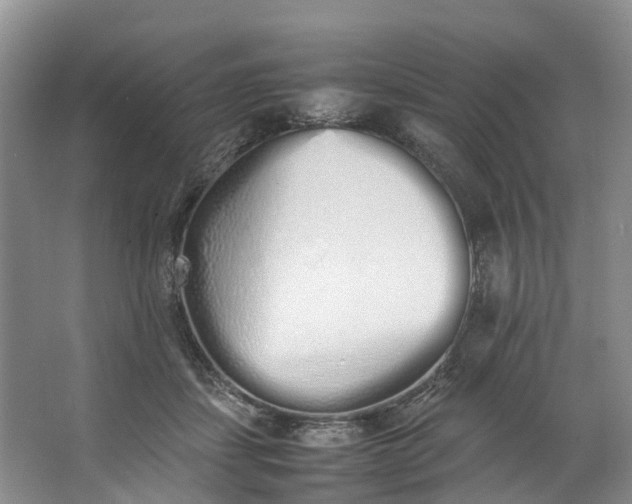 X0000062800459200601051116