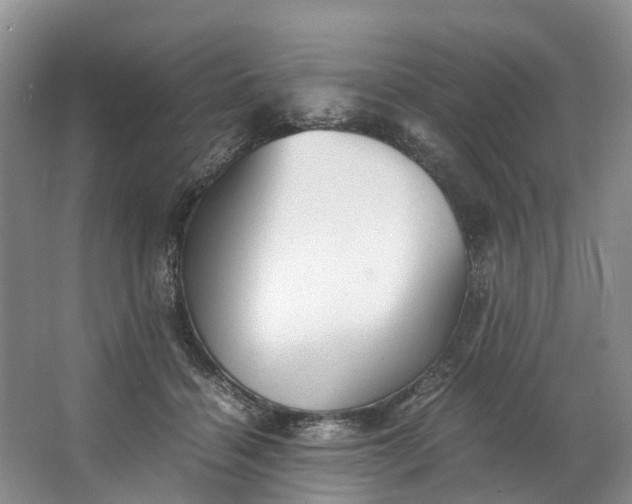 X0000062800460200601051116