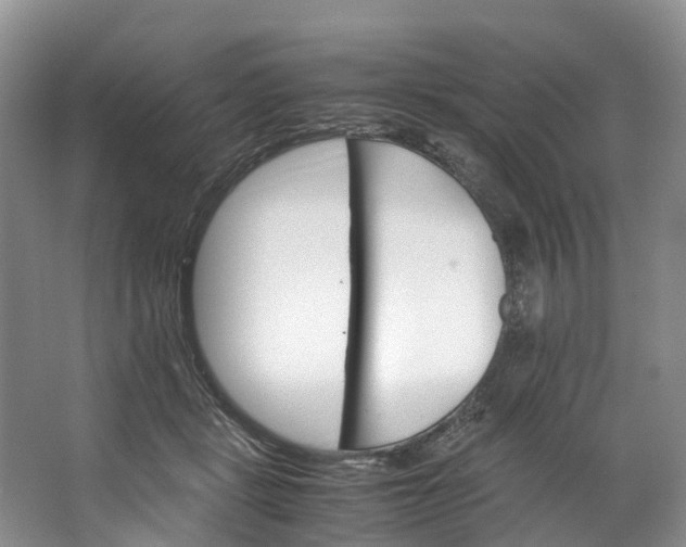 X0000062800461200601051116