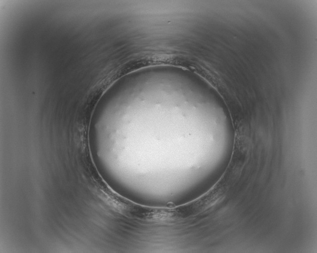 X0000062800462200601051116