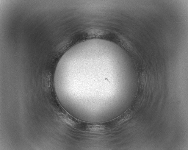 X0000062800463200601051116