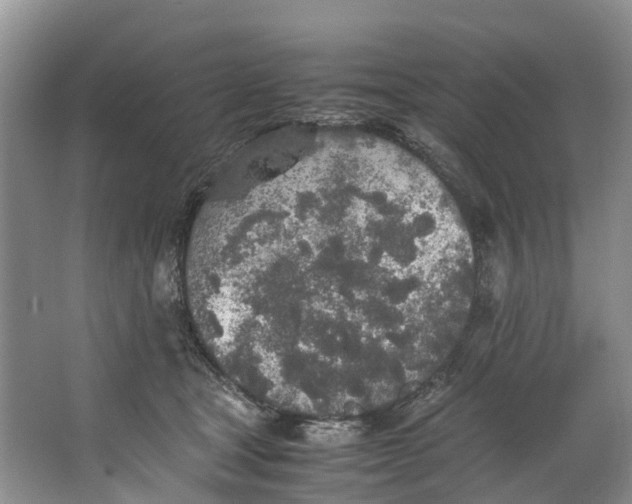 X0000062800465200601051116