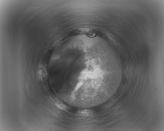 X0000062800467200601051116