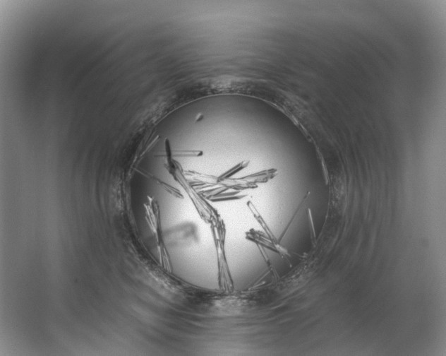 X0000062800470200601051116