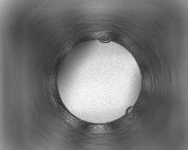 X0000062800473200601051116