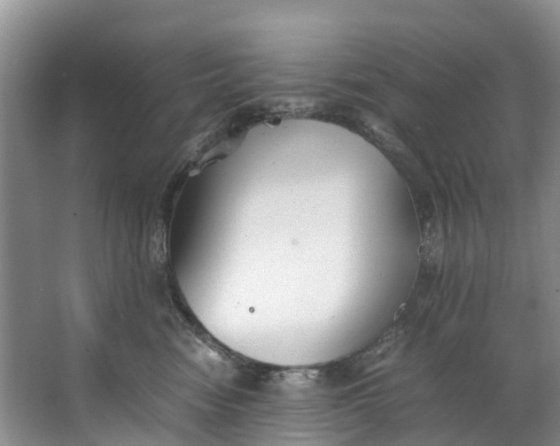 X0000062800474200601051116