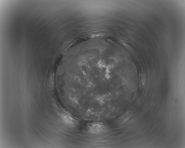 X0000062800475200601051116